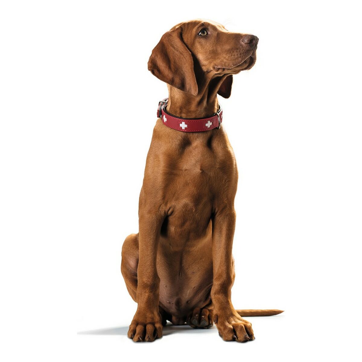 Coleira para Cães Hunter Swiss Vermelho/Preto 30-34.5 cm