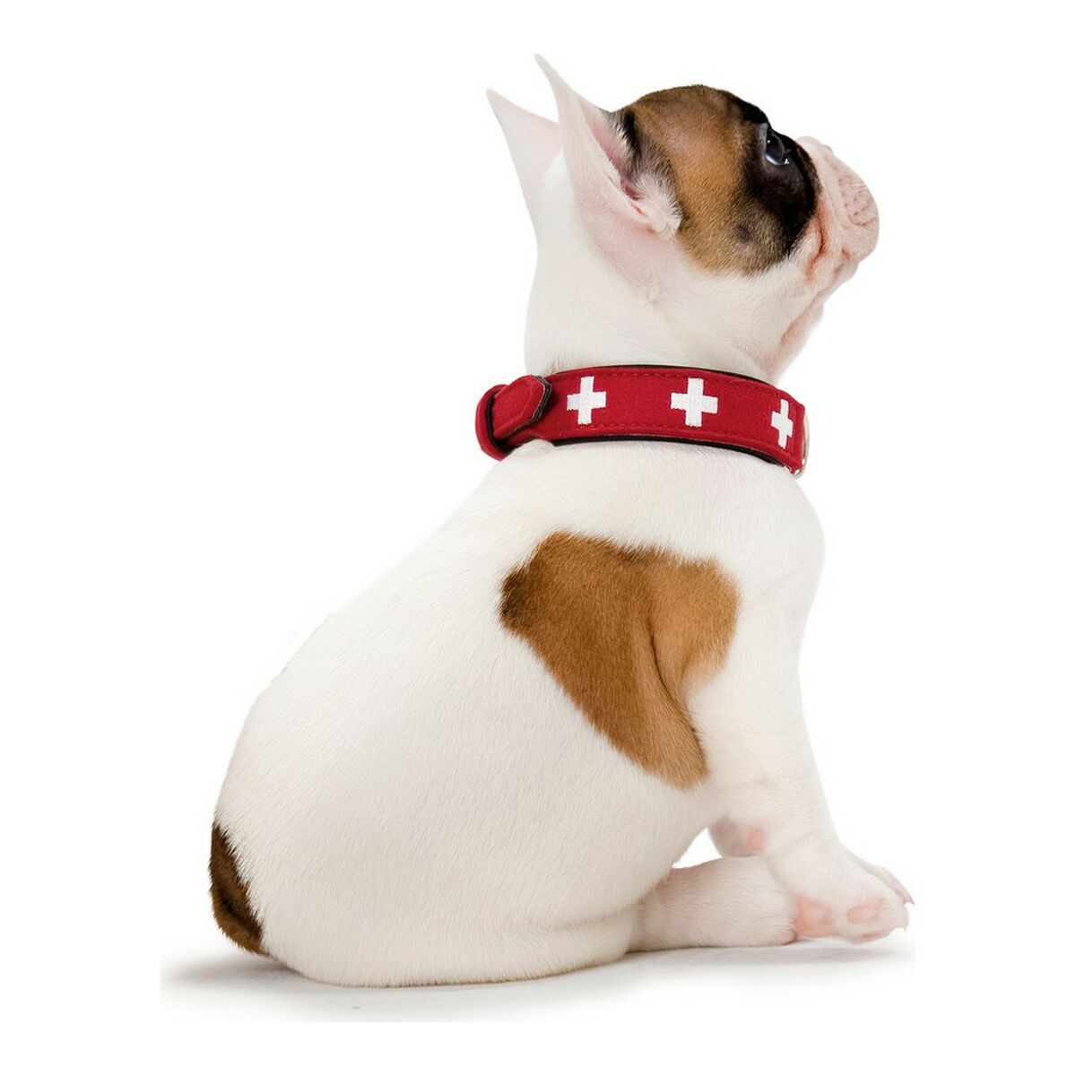 Coleira para Cães Hunter Swiss Vermelho/Preto 30-34.5 cm