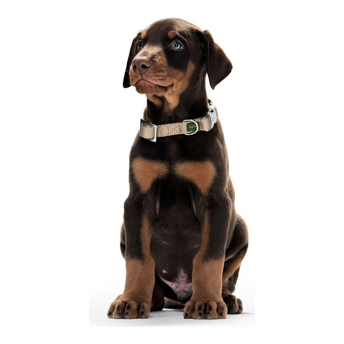 Dog collar Hunter Alu-Strong Grey Size S (30-45 cm)